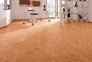 Δάπεδα από φελλό στο εσωτερικό: υλικά στοιχεία (23 φωτογραφίες)