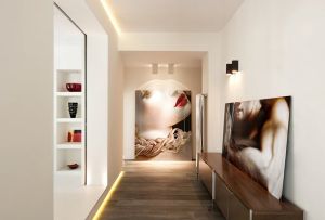 Χρώματα στο εσωτερικό του διαδρόμου - ολόκληρη η παλέτα και οι δυνατότητές της (60 φωτογραφίες)