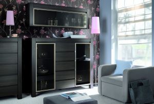 Σαλόνι wenge: ασκητική πολυτέλεια (24 φωτογραφίες)