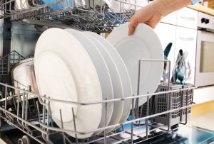 Επιλογή πιάτων: Βασικά χαρακτηριστικά, πλεονεκτήματα και μειονεκτήματα