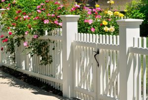 Σχεδιασμός πύλης και πύλης του σπιτιού (50 φωτογραφίες): όμορφες και πρακτικές επιλογές