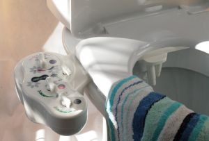 Επισκόπηση τουαλέτας με λειτουργία bidet (20 φωτογραφίες)