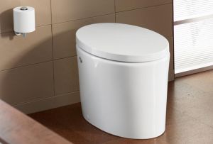 Οι κύριοι τύποι τουαλετών: διαφορές και σύγχρονα μοντέλα