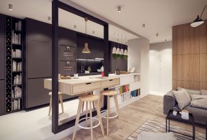 Σχεδιασμός δωματίου με μπαρ (115 φωτογραφίες): επιλογές εσωτερικού σχεδιασμού