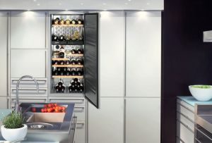 Καμπίνα κρασιού στο εσωτερικό: κομψή αποθήκευση (22 φωτογραφίες)