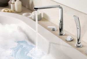 Ο μίξερ με μακρύ στόμιο για μπάνιο - μια καθολική συσκευή για άνετες διαδικασίες νερού (21 φωτογραφίες)