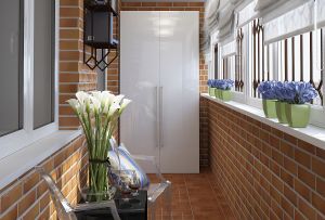 Ντουλάπα στο μπαλκόνι: τύποι σχεδίων και σχεδίων (28 φωτογραφίες)