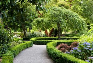 Ο σχεδιασμός της αυλής μιας ιδιωτικής κατοικίας: πρωτότυπες ιδέες που όλοι θα ήθελαν (24 φωτογραφίες)