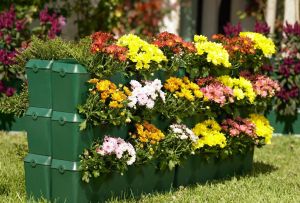 Δημιουργήστε παρτέρια στη χώρα (51 φωτογραφίες): διακόσμηση λουλουδιών και σχεδιασμός περιφράξεων