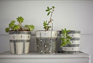 Γλάστρες: ένα συμπαγές κήπο στο σπίτι (32 φωτογραφίες)