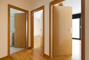 Πόρτες από φύλλα στο εσωτερικό: νέα υφή (24 φωτογραφίες)