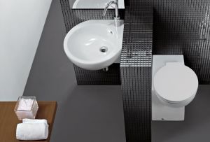 Γωνιακή τουαλέτα: σημαντικά κριτήρια επιλογής, ακολουθία εγκατάστασης (26 φωτογραφίες)