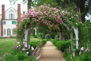 Pergola - μια ασυνήθιστη διακόσμηση του κήπου (29 φωτογραφίες)