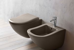 Έγχρωμες τουαλέτες: η δυνατότητα του χρωματισμού στο μπάνιο (22 φωτογραφίες)