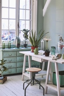 Μέντα με μέντα στο εσωτερικό