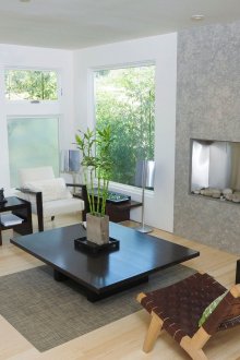 Ζώντας μπαμπού στο εσωτερικό του σαλόνι