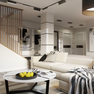 Ασπρόμαυροι τοίχοι στο σαλόνι του σύγχρονου στυλ