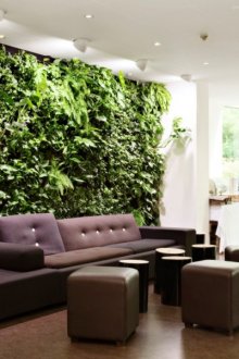 Σαλόνι με τείχος ζωντανών φυτών