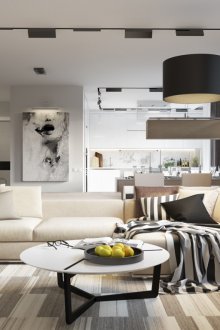 Μαύρο και άσπρο καθιστικό-κουζίνα με κρέμα