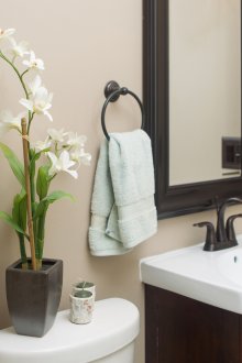 Ορχιδέα στο μπάνιο