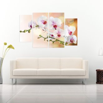 Modular εικόνα με ορχιδέες