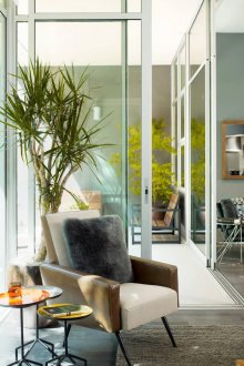 Dracaena στο εσωτερικό του σαλόνι