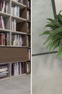 Δύο dracaena στο εσωτερικό κοντά στο γραφείο