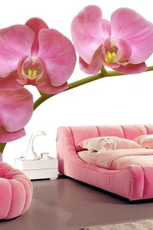 Τοίχος τοιχογραφία με ορχιδέα στο υπνοδωμάτιο