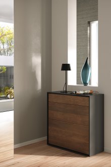 Μαύρο και καφέ έπιπλα υψηλής τεχνολογίας στο διάδρομο