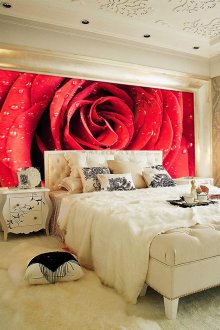 Η τοιχογραφία με μακροεντολή αυξήθηκε στο υπνοδωμάτιο