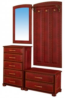 Έπιπλα από διάδρομο οξυάς