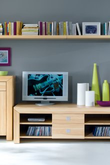 Τοίχος οξιάς και ράφι στο καθιστικό