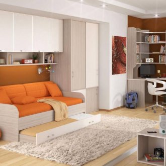 Έπιπλα σε φυτώριο τέφρας