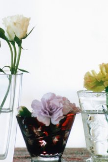 Ζήστε τριαντάφυλλα και άλλα λουλούδια στο εσωτερικό του δωματίου