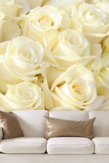 Κρέμα τριαντάφυλλα στο σαλόνι