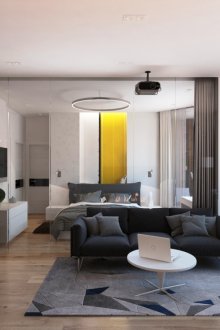 Ασπρόμαυρο βασικό γάμμα του διαμερίσματος