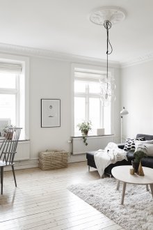 Ασπρόμαυρο σαλόνι σε στυλ Νορβηγίας