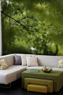 Φωτογραφικό χαρτί σε σαλόνι με ένα ψεύτικο παράθυρο