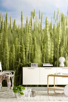 Φωτοτυπικό χαρτί σε ένα εσωτερικό του σαλονιού