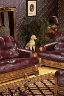 Εξωτερικό σκυλί ειδωλολατρικό στο σαλόνι