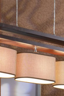 Κομψός λαμπρός ξύλινος πολυέλαιος