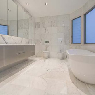 Ορχιδέα Wanda στο μπάνιο