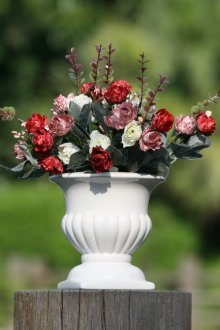 Τριαντάφυλλα σε ένα δοχείο στην πλοκή