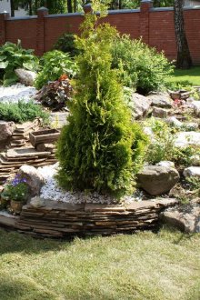 Όμορφη αλπική διαφάνεια στην περιοχή