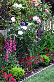 Διακόσμηση του φράχτη με τριαντάφυλλα και άλλα λουλούδια