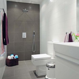 Γκρίζο λευκό μπάνιο