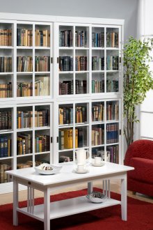 Μεγάλη βιβλιοθήκη στο σαλόνι