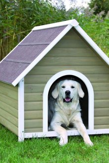 Doghouse med gaveltak
