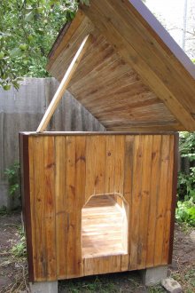 Doghouse με αρθρωτή οροφή