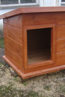 Διοικητικό Συμβούλιο για το σκυλί από τα διοικητικά συμβούλια